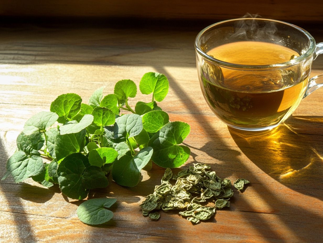 Benefits of Gotu Kola for Cognitive Health